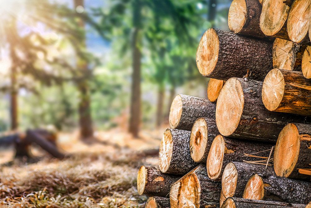 pauzenberger leistungen heizung biomasse holz